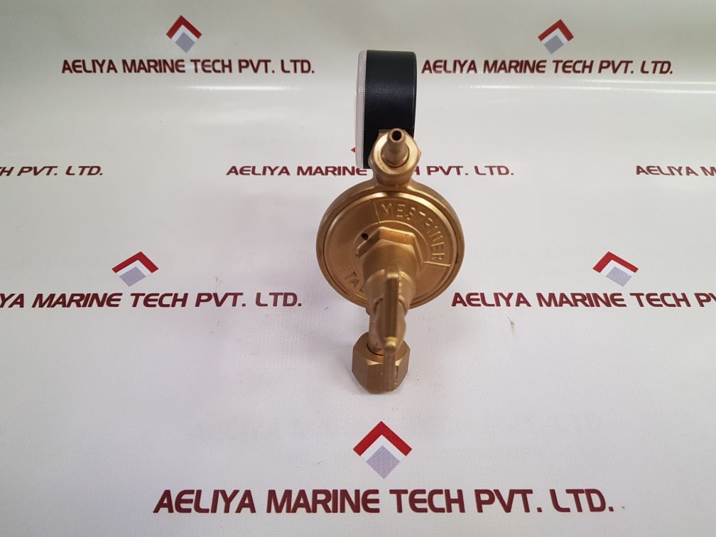 Mestriner 2Uni4401 twin gauge pressure regulator