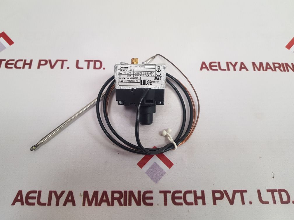 Jumo 602031/80 thermostat 