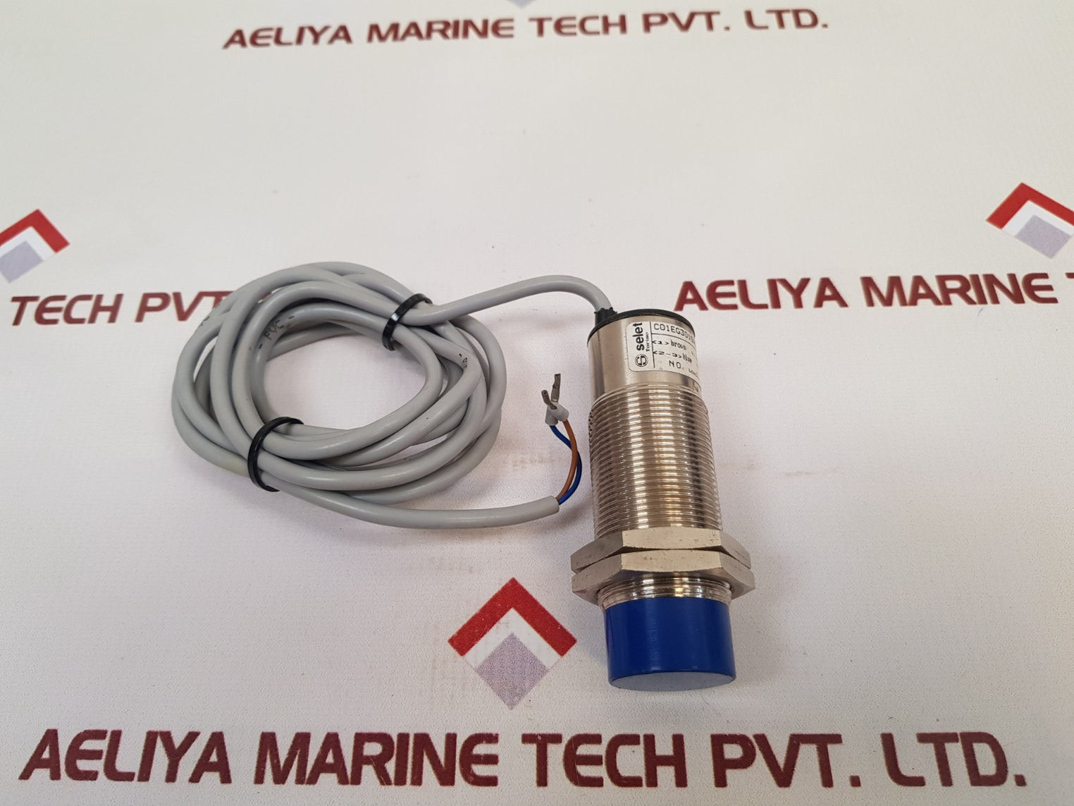 Selet C01Eg3015A0 Sensor