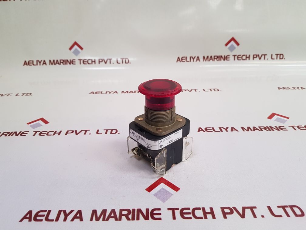 Allen Bradley 800T-fxtq0Ra1 Illuminated Push Button