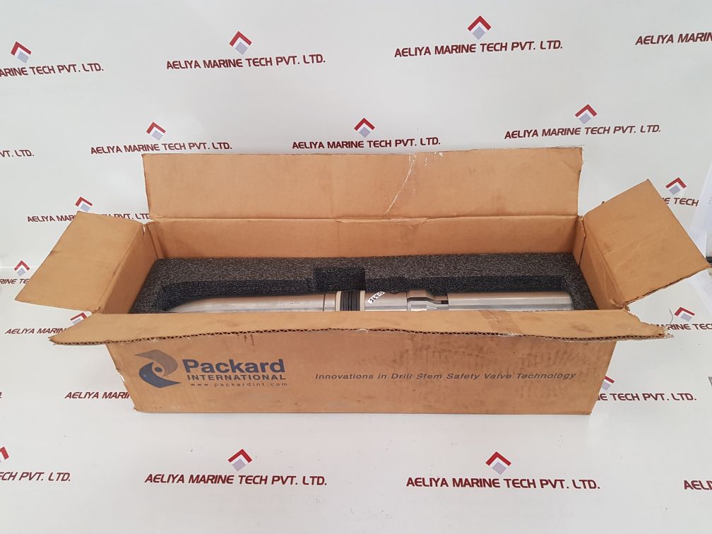 Packard 715-048-cva check valve