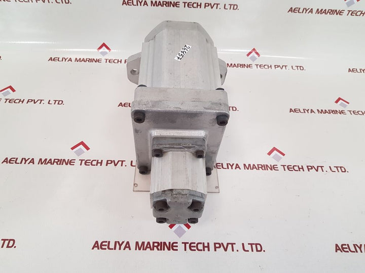 Liebherr 592097514 double gear pump 
