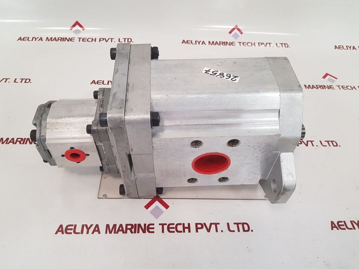 Liebherr 592097514 double gear pump 
