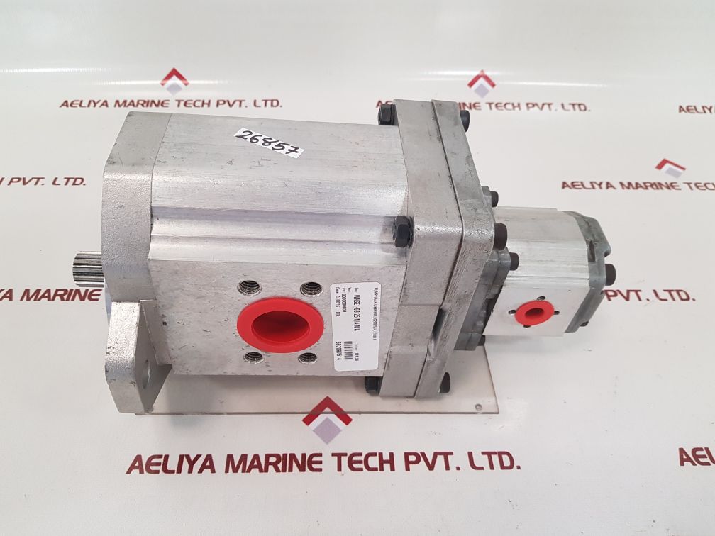 Liebherr 592097514 double gear pump 
