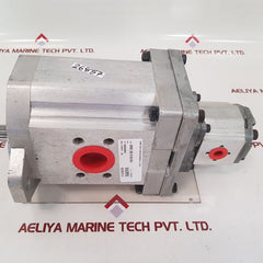Liebherr 592097514 double gear pump 
