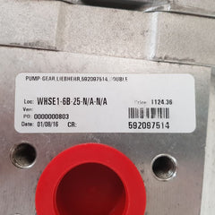 Liebherr 592097514 double gear pump 

