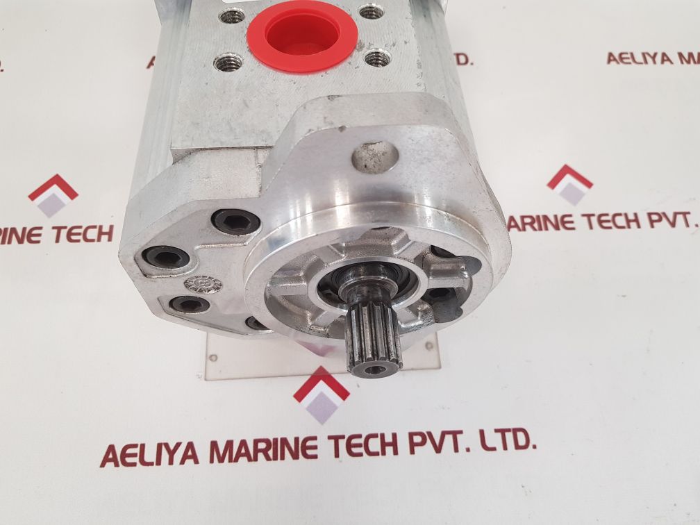 Liebherr 592097514 double gear pump 
