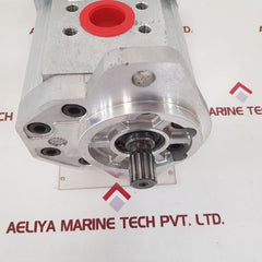 Liebherr 592097514 double gear pump 
