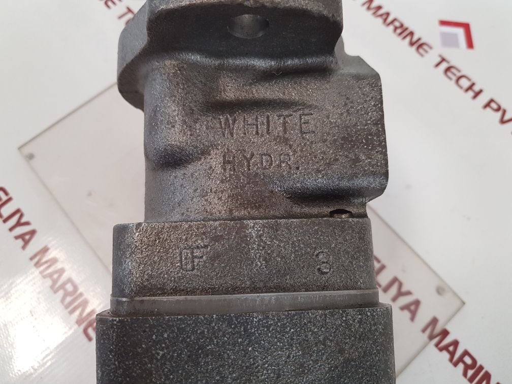 White hydraulics rs10090600 motor 