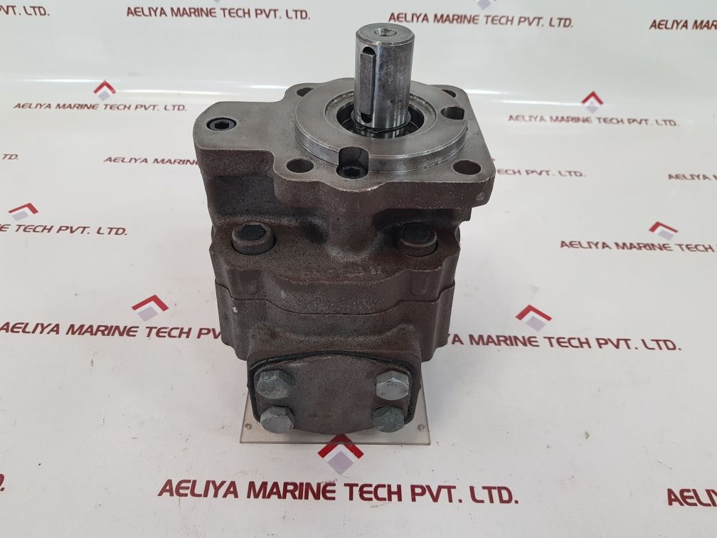 Tts 23337 Gear Pump
