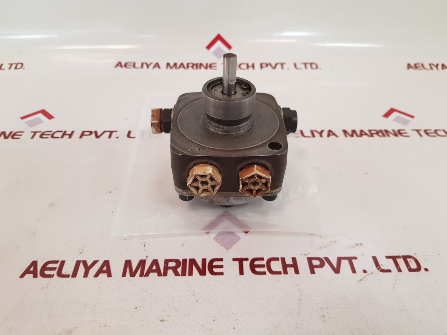 Eckerle uni hydraulic motor pump