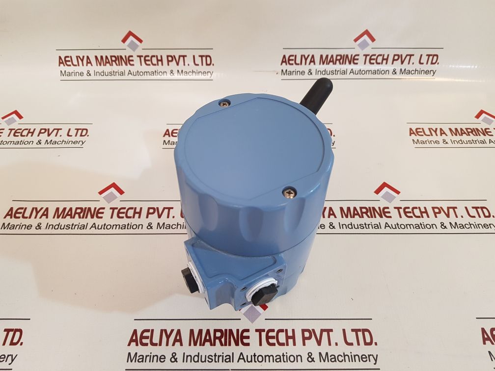 Emerson 6081 Wireless Ph/Orp Transmitter 6081-p