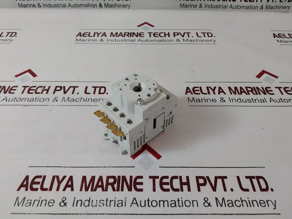 Benedikt & Jager 487 2217-30T Main Switch