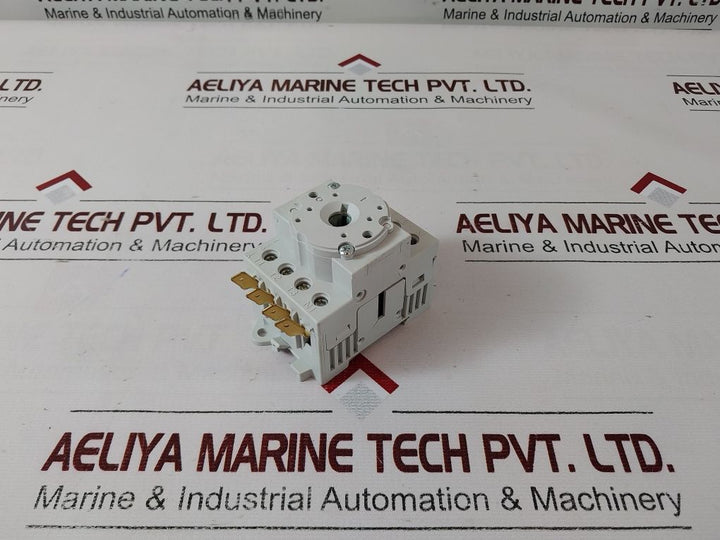Benedikt & Jager 487 2217-30T Main Switch