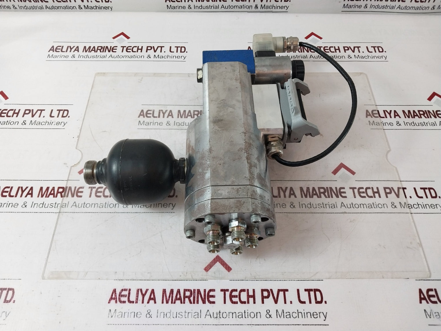 Rexroth R901186443 Solenoid Valve 4We 6 Jb62/Eg24N9K4 So945