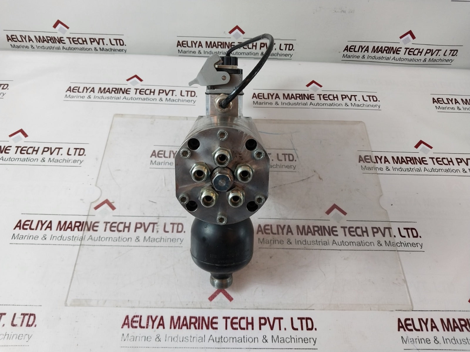 Rexroth R901186443 Solenoid Valve 4We 6 Jb62/Eg24N9K4 So945