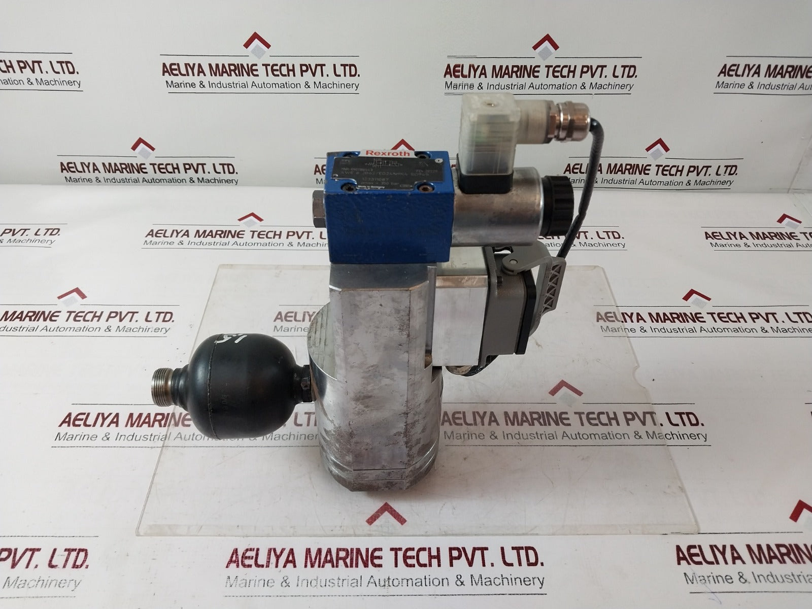 Rexroth R901186443 Solenoid Valve 4We 6 Jb62/Eg24N9K4 So945