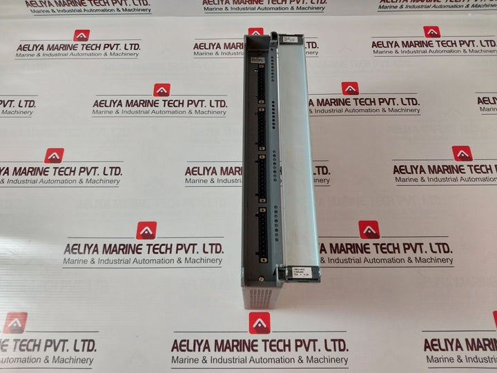 Abb Dai 03 Analog Input Freelance 2000,En-h Dai 03 0369631 01977 00 03.07