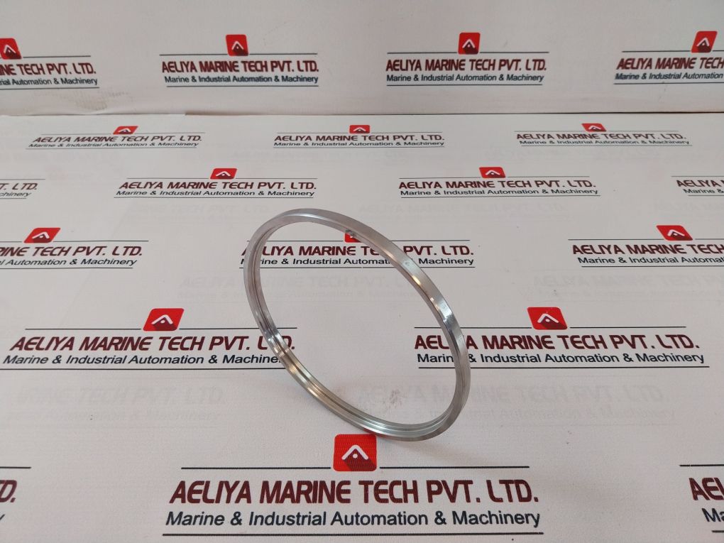 243-726-01 Ring Gasket