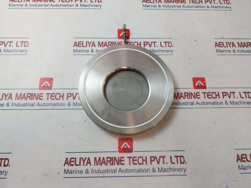 316 Dn 125 Swing Wafer Check Valve