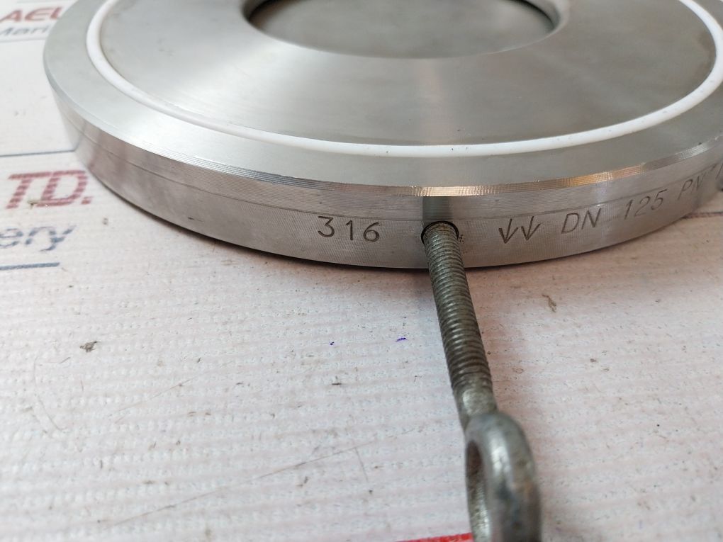 316 Dn 125 Swing Wafer Check Valve