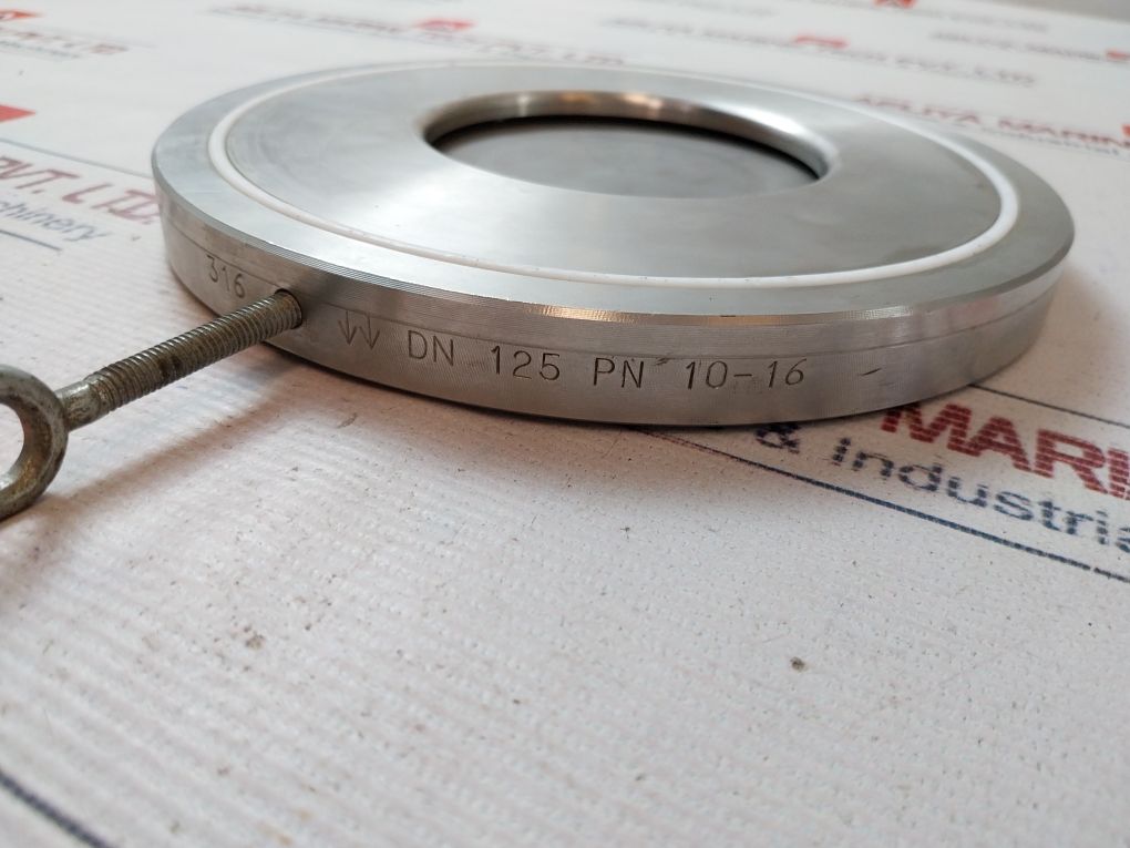 316 Dn 125 Swing Wafer Check Valve