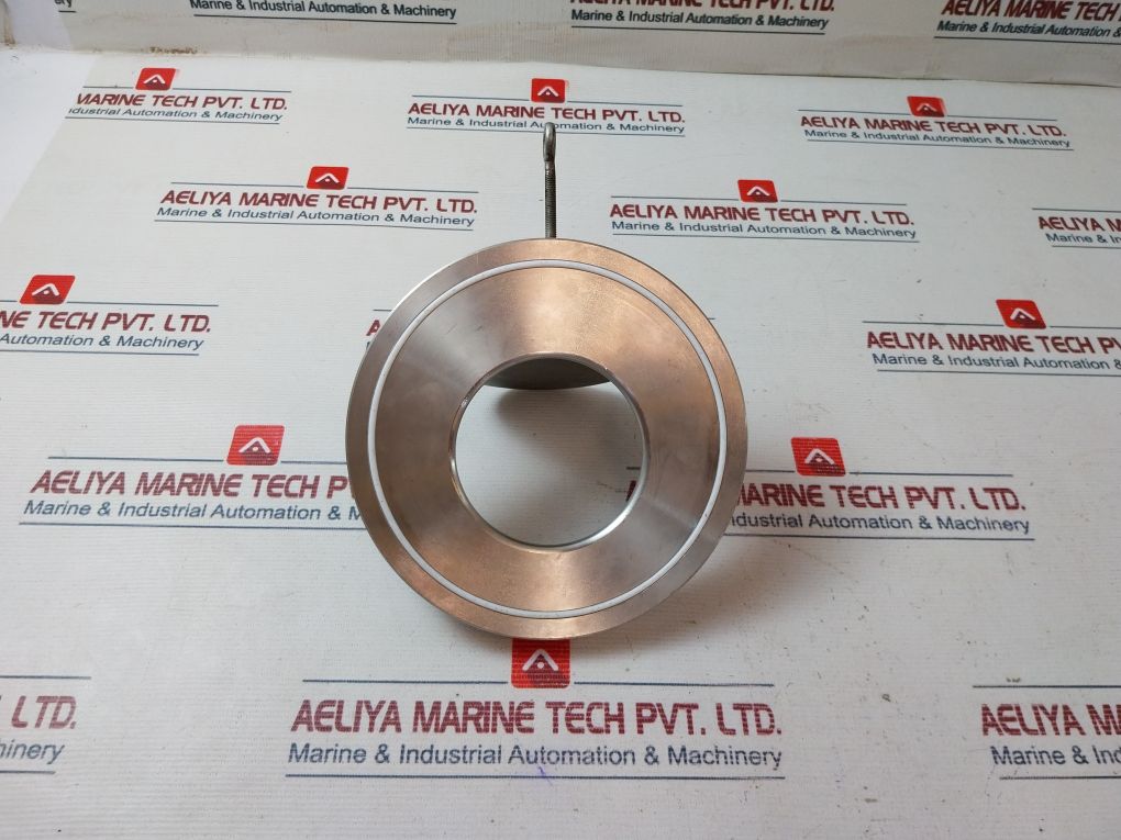 316 Dn 125 Swing Wafer Check Valve