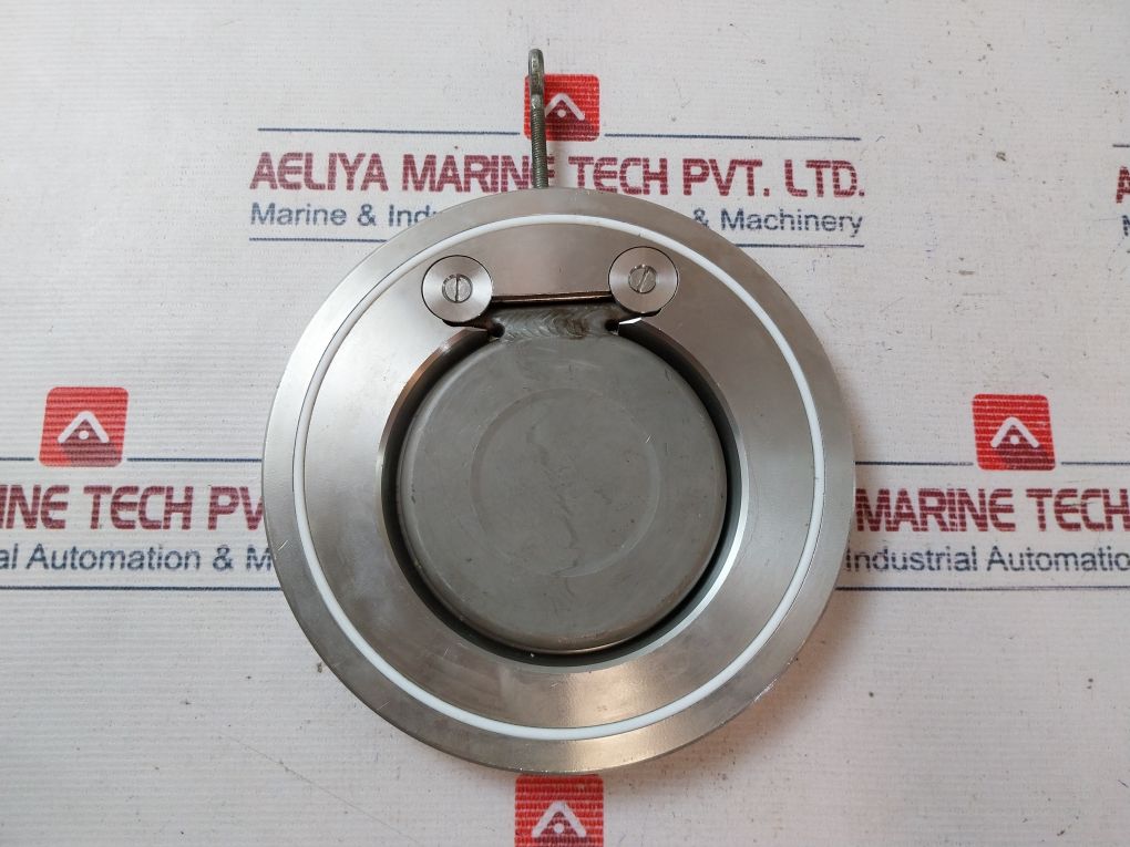 316 Dn 125 Swing Wafer Check Valve