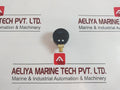 4131291865 Transmitter Pressure Gauge 0 To 10 Bar