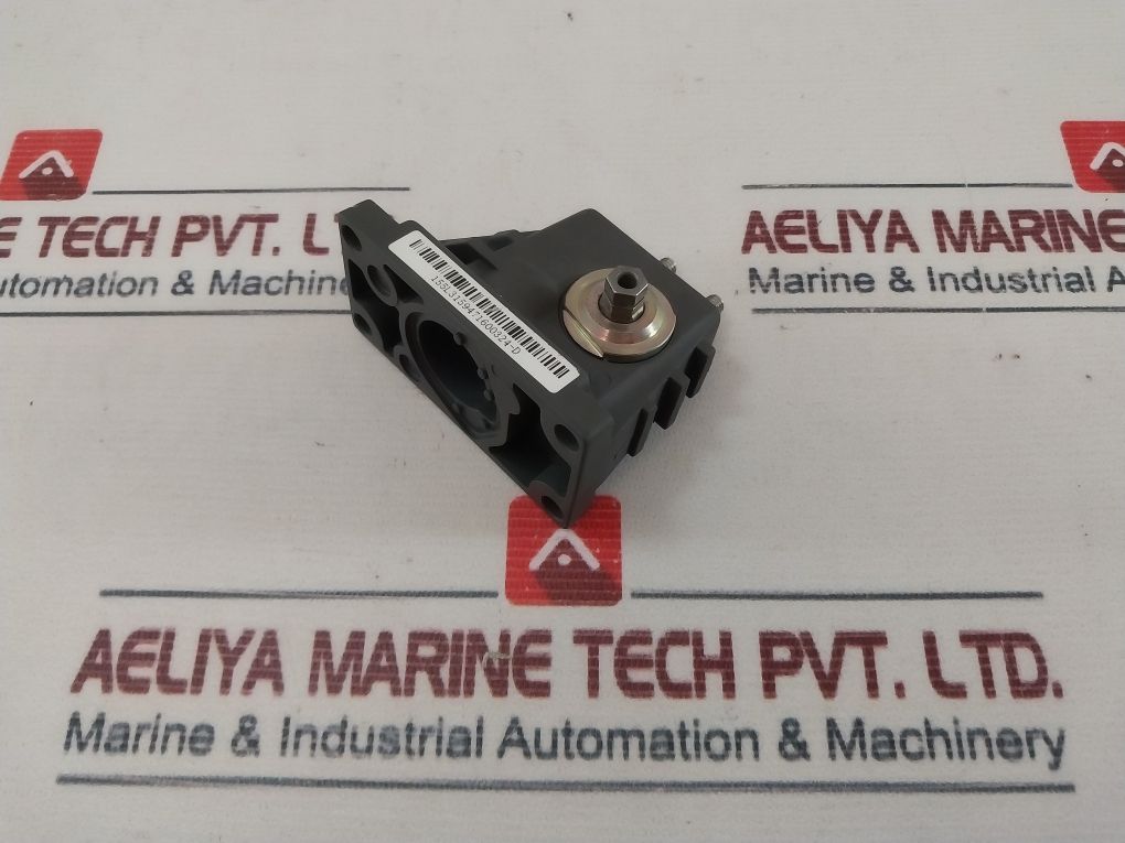 4716 155L3159471600324-d