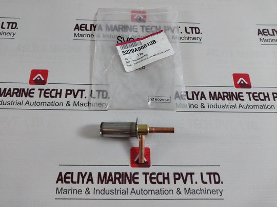 5220A90013B Expansion Body Valve
