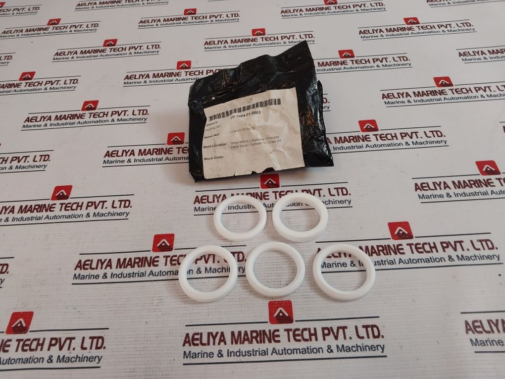 5230417R156Ja Packing Set