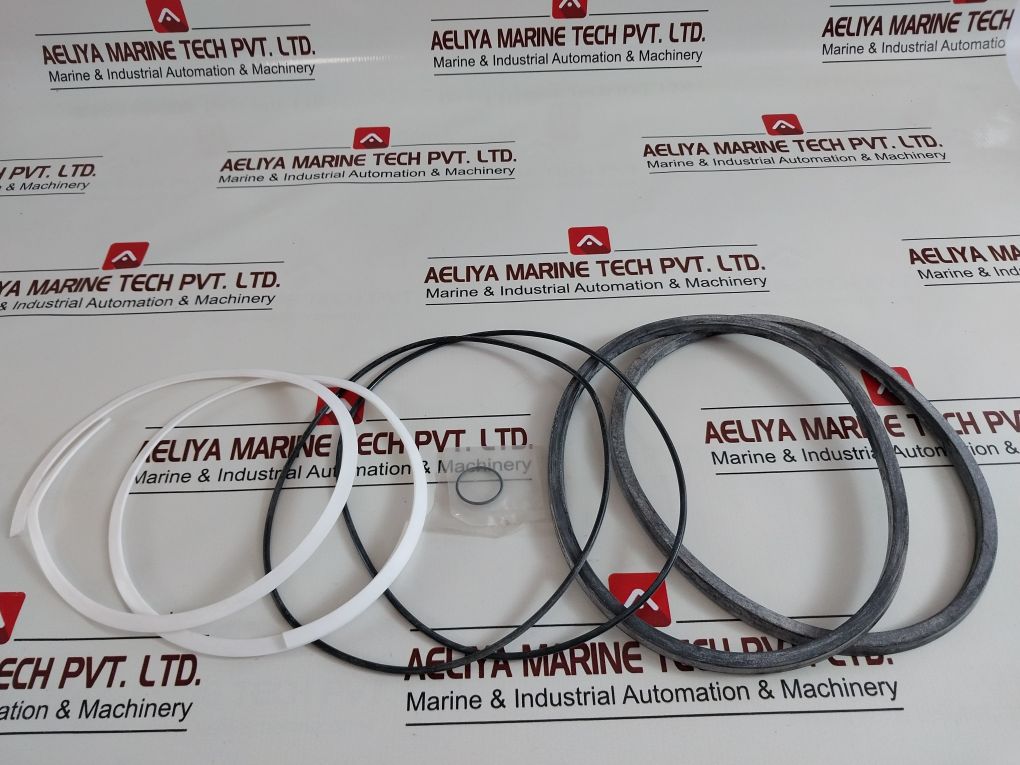 5570975002 Kit, Piston & Tube Seal