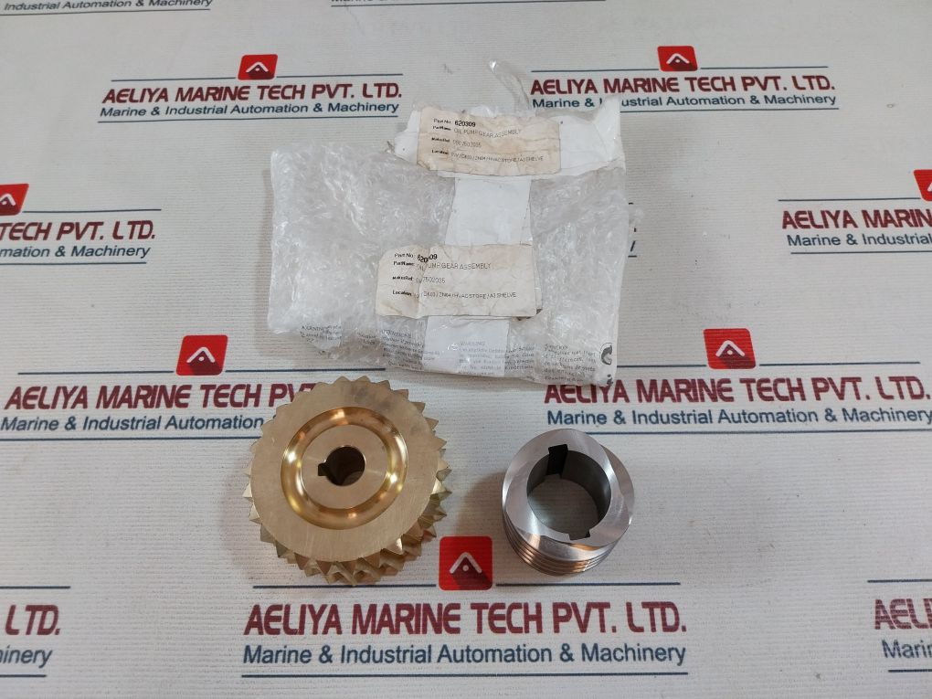 620309 Oil Pump Gear Assembly Set