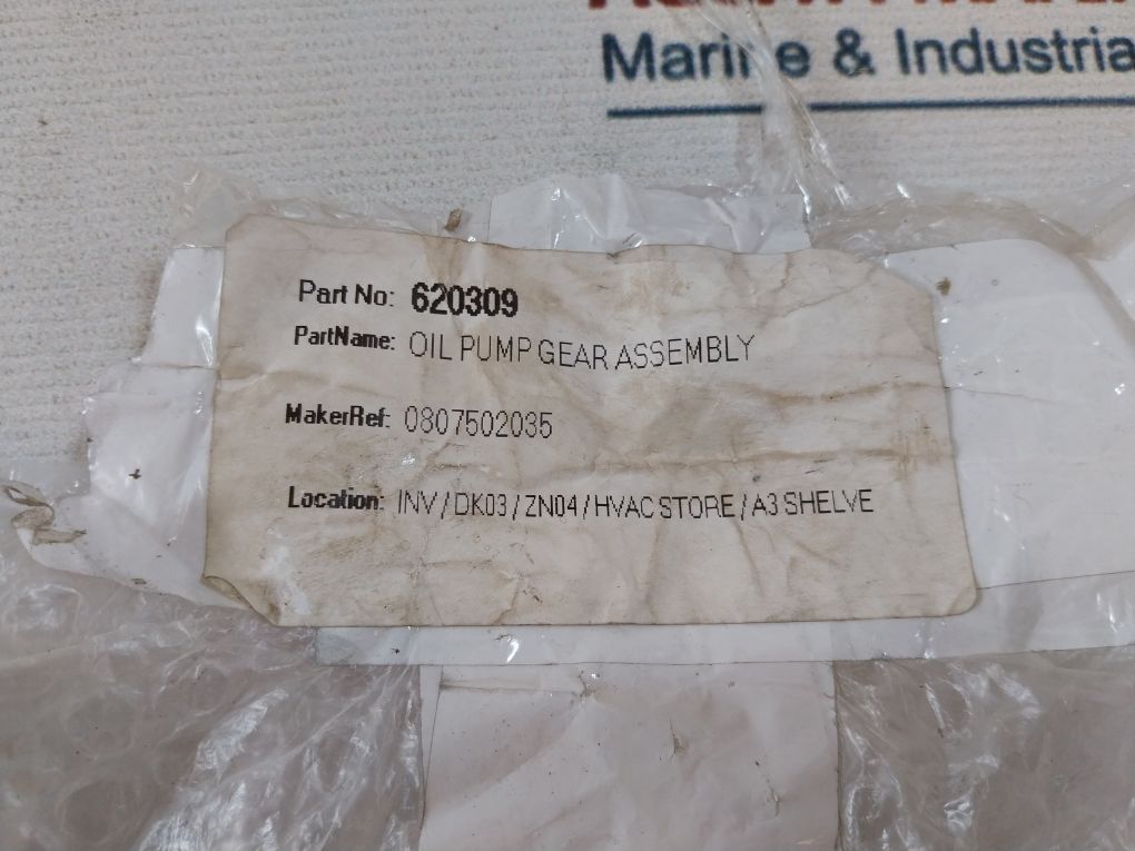 620309 Oil Pump Gear Assembly Set