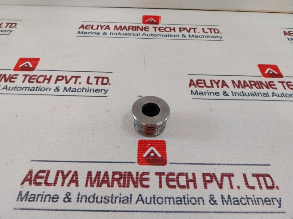 Aalborg 9660500176 Steam Sealing Include Spindle Guide