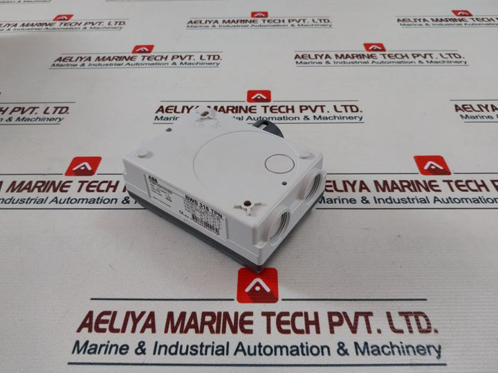 Abb Bws 316 Tpn Safety Switch 2Cma142417R1000 Ip65