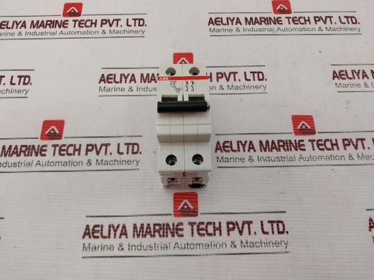 Abb S202 C6 Miniature Circuit Breaker 2-poles 277/480 Vac