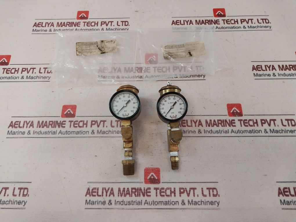 Accutek Pg-100 Sd 2 Pressure Gauge And Air Eliminator Assembly