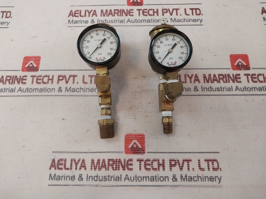 Accutek Pg-100 Sd 2 Pressure Gauge And Air Eliminator Assembly