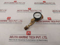 Accutek Pg-100 Sd 2 Pressure Gauge And Air Eliminator Assembly
