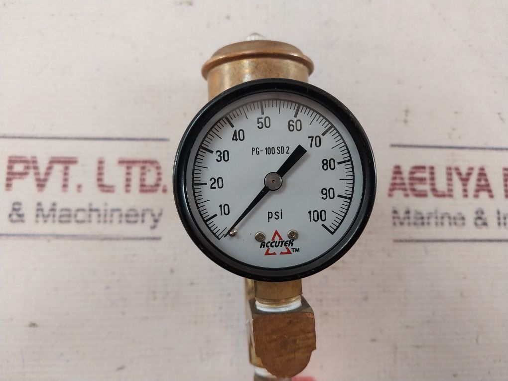 Accutek Pg-100 Sd 2 Pressure Gauge And Air Eliminator Assembly