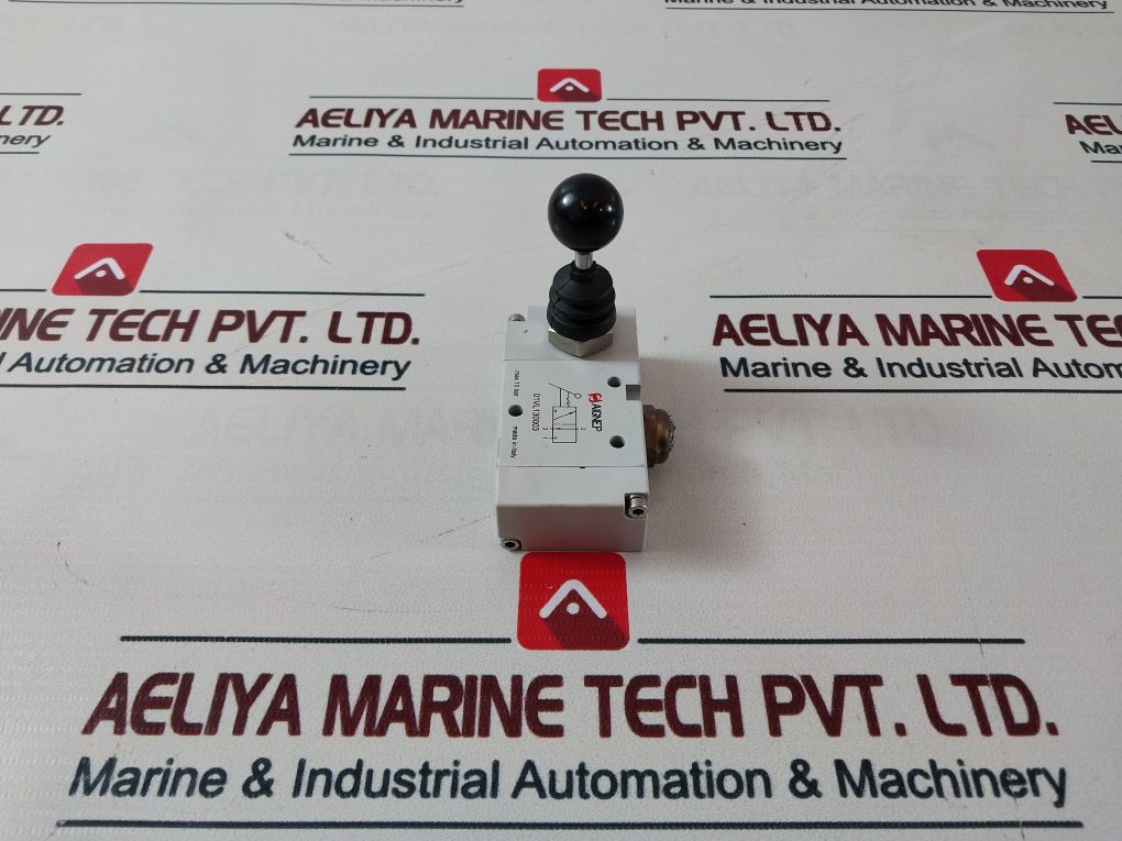 Aignep 01Vl130003