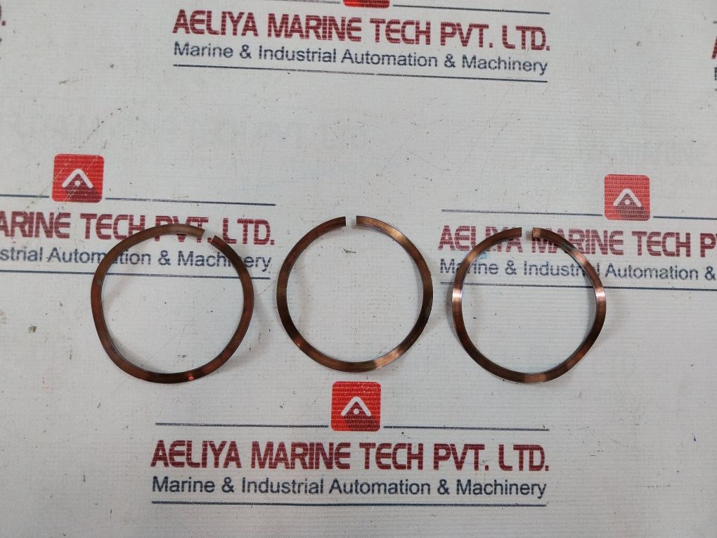 Aker Ddm-1000-ac-2M Nexgen Kelly Valve Repair Kit