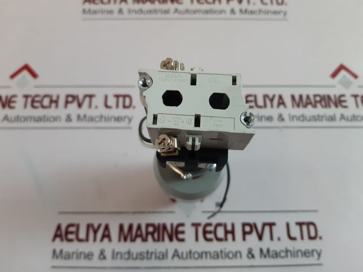 Akron Xpibs-120Ga Illuminated Pushbutton