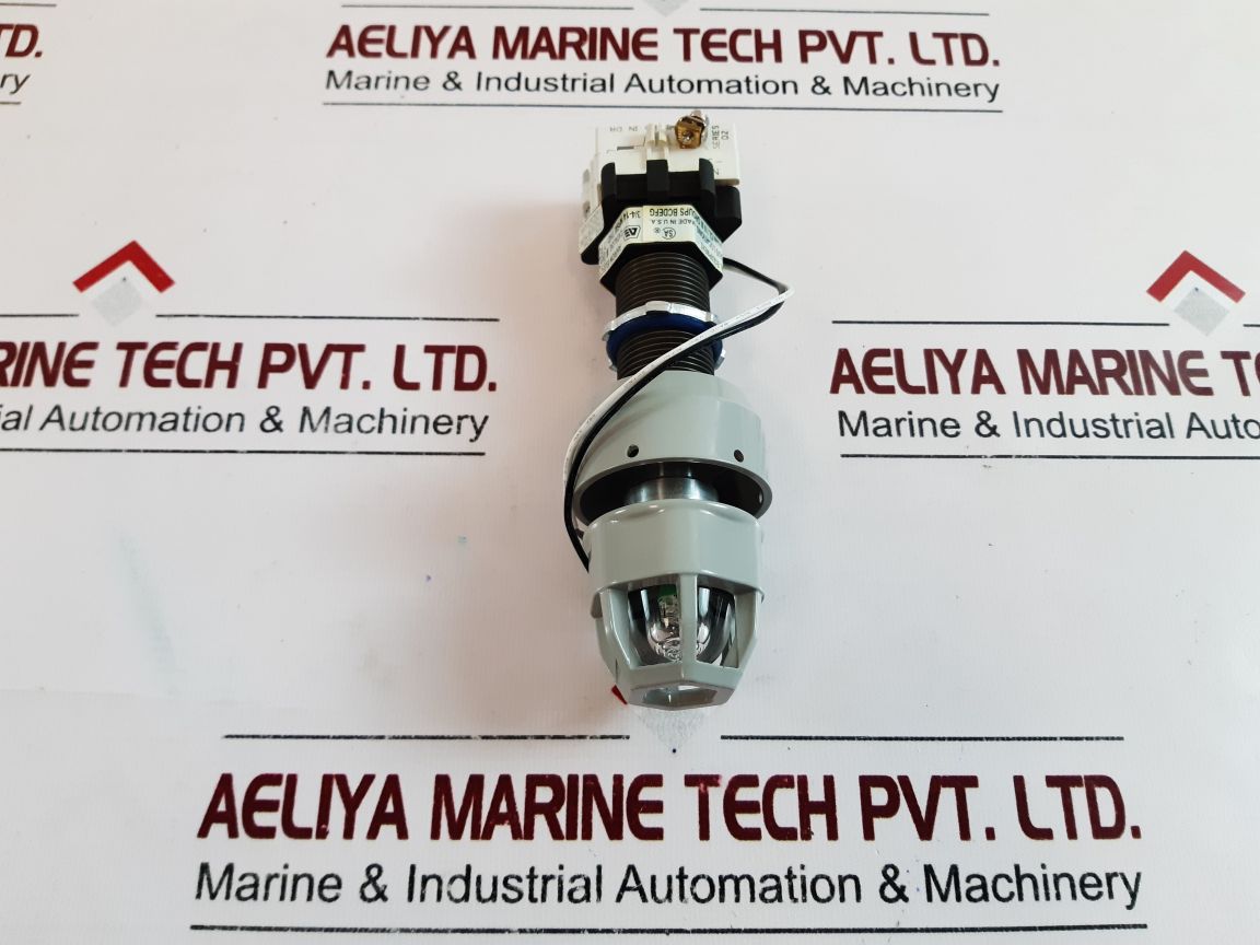 Akron Xpibs-120Ga Illuminated Pushbutton