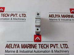 Lot Of 21X Allen-bradley 1492-fb1C30 Fuse Holder