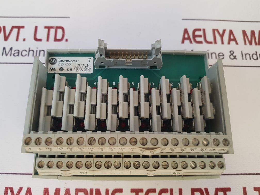 Allen-bradley 1492-ifm20F-f24-2 Interface Module
