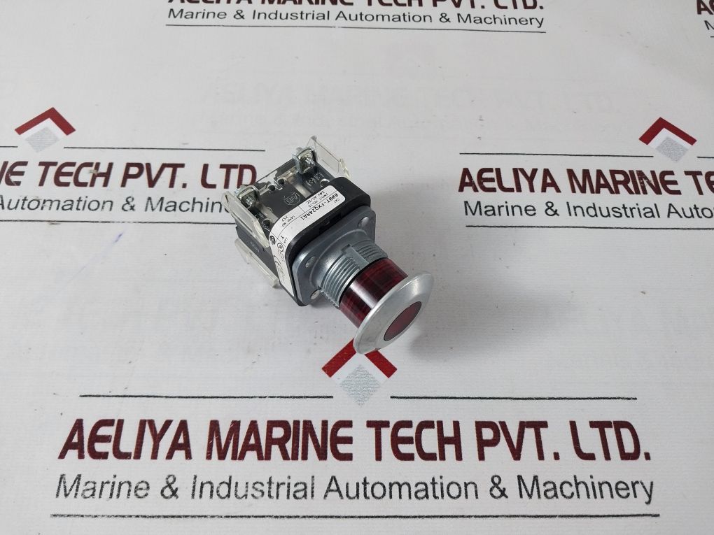Allen-bradley 800T-fxq24Ra1 Push Button Switch