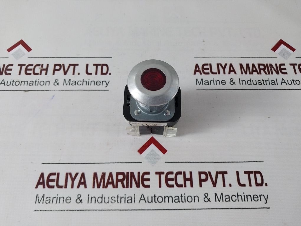 Allen-bradley 800T-fxq24Ra1 Push Button Switch